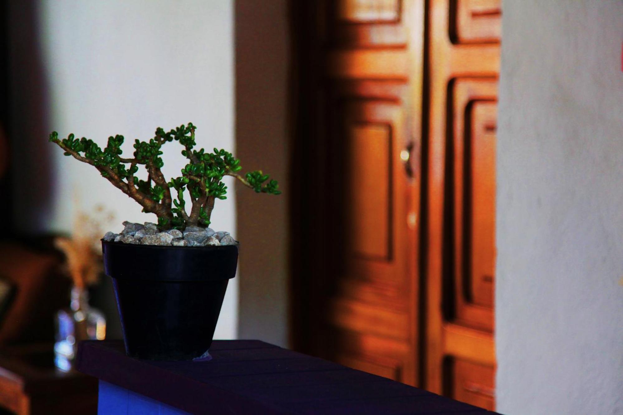 Hostal Antigueeno Antigua Buitenkant foto